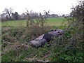 Flytip near Alderholt