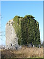 R8993 : Ballyfinboy Castle by dougf