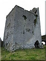 S0340 : Ballynahinch Castle by dougf