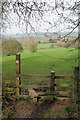 Parish boundary between Bucklebury and Stanford Dingley