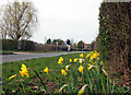 Road Between The Baldons