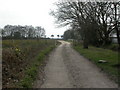 Holt Heath, cattle grid