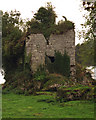R5580 : Ballynahinch Castle by Roger Diel
