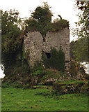 R5580 : Ballynahinch Castle by Roger Diel