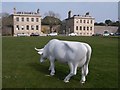 Cow, Royal William Yard, Plymouth