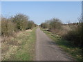 Cycle Route 64 heading north towards Newark