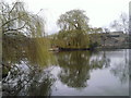 The Mill Pond, Dartford