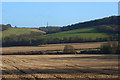 Farmland, Watlington