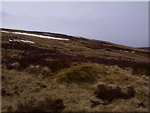 NN6469 : The lower slopes of Leachd nam Fuaran south of Meall na Leitreach by ian shiell