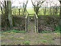 Bridge and stile over a ditch, near Upper Minety