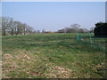 Farmland near Handley Lodge