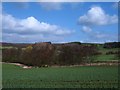 Howardian Hills landscape