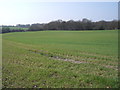 Farmland near Old Tupton