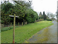 Junction on the Sussex Border Path