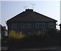 Houses on Derby Road (A61)