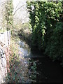 The Chaffinch Brook, Cator Park