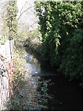 TQ3669 : The Chaffinch Brook, Cator Park by Mike Quinn
