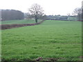 Farmland near Wingerworth