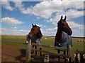 Guardians of the stile