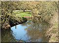 2011 : River Frome from Damsons Bridge