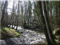 The Clywedog meandering alongside Lady Bagot