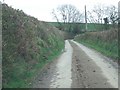 Road to the east of Cleave Cottage