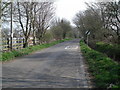 Green Lane towards Hardstoft Common