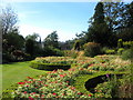 Rodney Gardens in full bloom