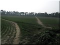 Footpath and bridleway junction near Mayers Road