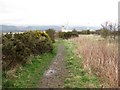 Embankment path, South Alloa