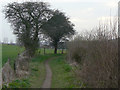 Footpath near Church Warsop