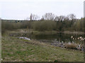 Pond alongside Carter Lane