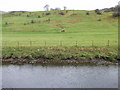 River Irwell at Ramsbottom