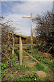 A signpost and steps near Ednam