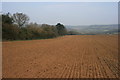 Newly sown field south of Abinger