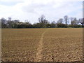 Footpath to Hill Farm Road