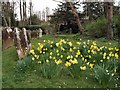 TQ1730 : Daffodils near St Mary's church by Paul Gillett