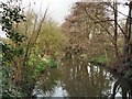 River Arun at Horsham