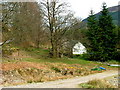 Cottage among the trees