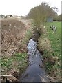 Moat Brook downstream of Codsall footbridge