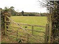 Field near Aspley Guise