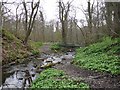 Stepping stones and footbridge, Walbottle Dene