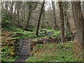 Footbridge and path, Walbottle Dene