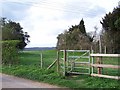 Footpath to Up Somborne