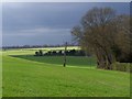 Fields above Little Somborne