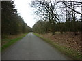 East Ferry Road towards Laughton