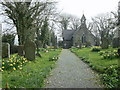 Spring flowers at Granston Churchyard