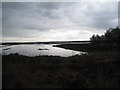 Hatfield Moors before a storm