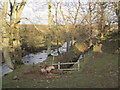 Swilder Burn and remains of a Mill Race