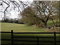 A view of the countryside near Polstead